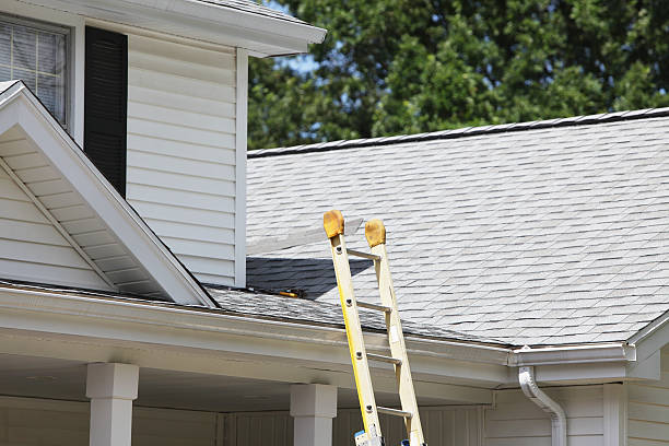 Best Siding Repair  in Waukesha, WI
